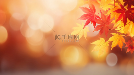 秋季红黄色枫叶秋色背景19