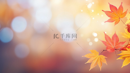 秋树叶背景图片_秋季红黄色枫叶秋色背景4