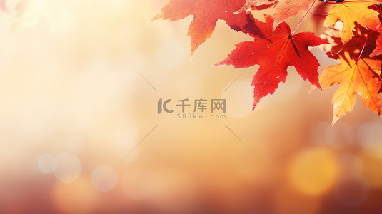 秋季红黄色枫叶秋色背景18