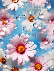 明亮多彩的雏菊花朵背景8
