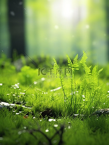 绿草蕨类植物清新绿色背景4