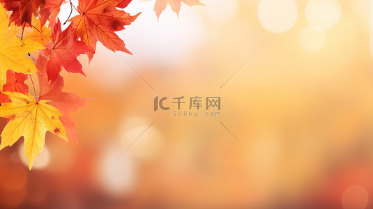 秋树叶背景图片_秋季红黄色枫叶秋色背景8