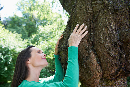 微笑的女人拥抱树