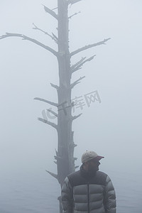 雾中一名男子站在光秃秃的树旁