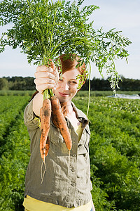 一名年轻女子在田里收割胡萝卜