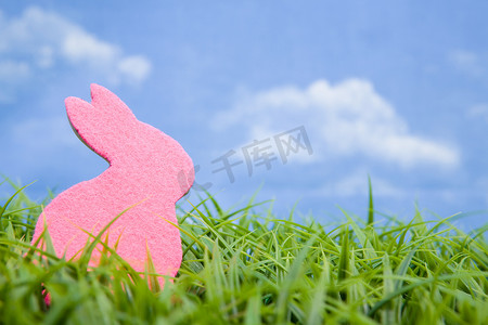 兔子粉色摄影照片_粉色兔子造型