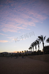 空荡荡的海滩和黄昏的棕榈树西班牙富尔特文图拉