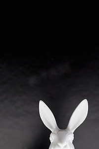 神话人物摄影照片_复活节白兔的头和耳朵