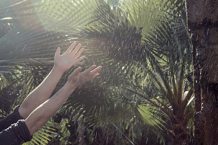 洒水的人摄影照片_在水滴和热带花园植物之间的人的手的侧视