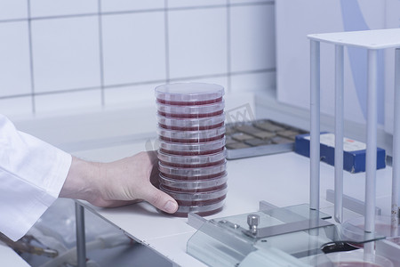 临床试验摄影照片_科学家用样本摆放培养皿进行检测