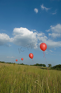 田野中的红色气球