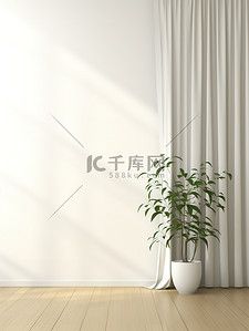 木地板窗帘绿色植物电商背景15