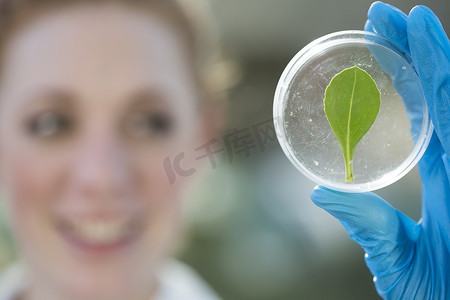 女性职业照摄影照片_女科学家举起装有叶子样本的培养皿