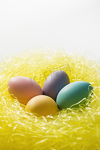 纯色背景蓝紫色摄影照片_五颜六色的黄色蛋巢