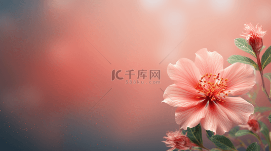 简约春节富贵花装饰背景8