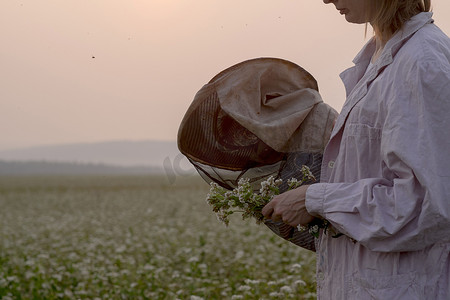 职场女性剪影摄影照片_俄罗斯乌拉尔女性养蜂人视察花田植物的剪影
