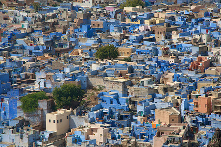 从印度拉贾斯坦邦焦特布尔的看到蓝色的婆罗门村