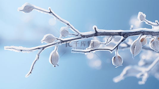 雪背景图片_二十四节气霜降树枝霜雪枝条