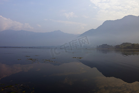 印度克什米尔斯利那加达尔湖上的晨雾