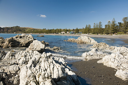 新西兰凯库拉海滩