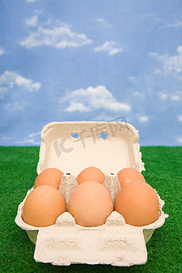 室内家族摄影照片_鸡蛋装在鸡蛋盒里