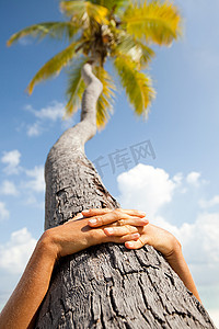 在马尔代夫北呼瓦杜环礁马多加拉岛的棕榈树上手牵手