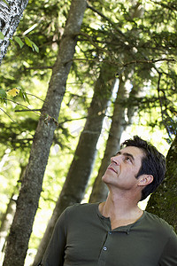 电视背景摄影照片_成熟的男人抬头看着森林里的树