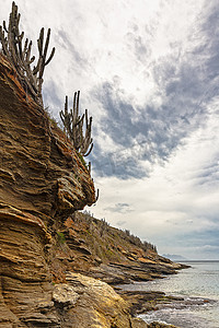 地理地质摄影照片_受侵蚀的海岸岩石费尔南德斯布齐奥斯巴西里约热内卢