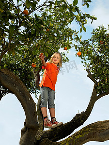 站在橘子树上的年轻女孩