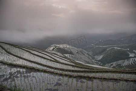 传统中国山水摄影照片_广西壮族自治区龙胜梯田水稻田俯瞰中国