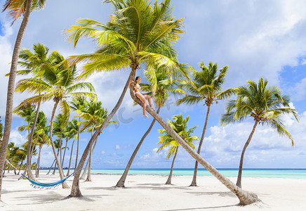 一名身着比基尼的年轻女子坐在加勒比海多米尼加海滩棕榈树的顶端
