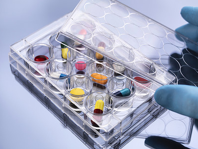 药学研究用于实验室测试的多孔托盘中各种药物的手动揭盖