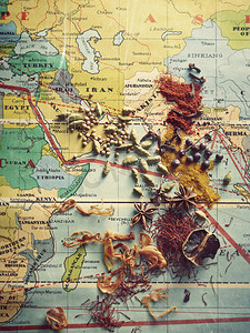 世界地图美食摄影照片_香料辣椒丁香八角香草豆瓣姜黄肉桂藏红花在次大陆的香料路线图