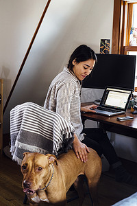 坐着的女人用笔记本电脑抚摸狗