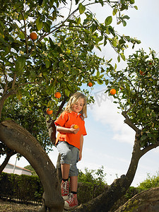 西班牙女摄影照片_拿着橙子的年轻女孩