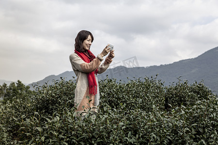 一名年轻女子在台湾台北茶园拍照