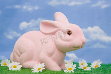 一只粉红色的兔子
