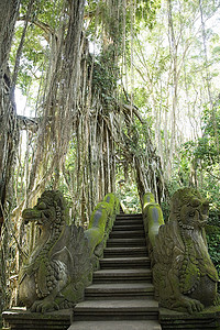 巴厘岛猴林中的一座寺庙