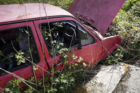 红色敞篷的汽车摄影照片_被遗弃的敞篷红色汽车特写车窗里长着荆棘