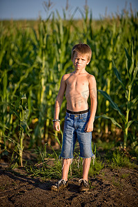 玉米地里的男孩