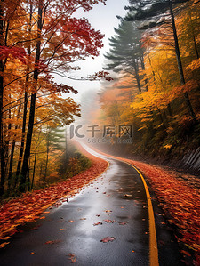 秋天的森林公路背景8