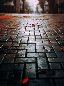 秋天落叶散落的街道