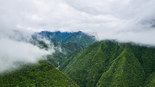 清江鱼鱼摄影照片_湖北宜昌清江画廊5A景区自然风光