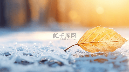 落叶秋天背景背景图片_金黄色现代感落叶霜降背景15