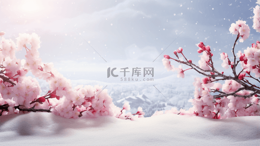 中国风雪中梅花盛开唯美背景14