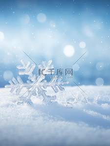 雪堆上的雪花特写2