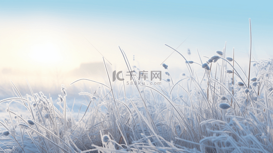 冬季雪花背景图片_冷色冬季霜降唯美创意背景19