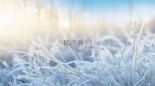 冷色背景图片_冷色冬季霜降唯美创意背景4