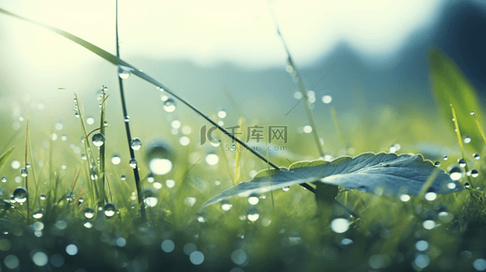 草地雨水背景图片_绿色现代感初春露珠背景41