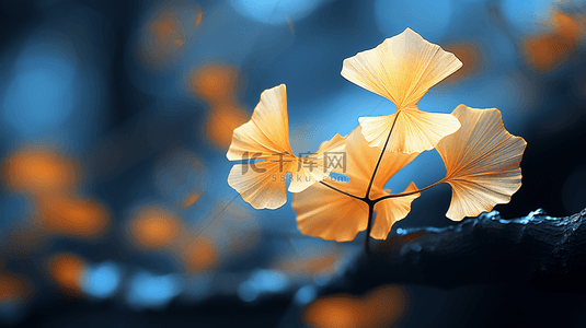 黄梅时节背景图片_秋天秋分时节质感纹理银杏叶背景